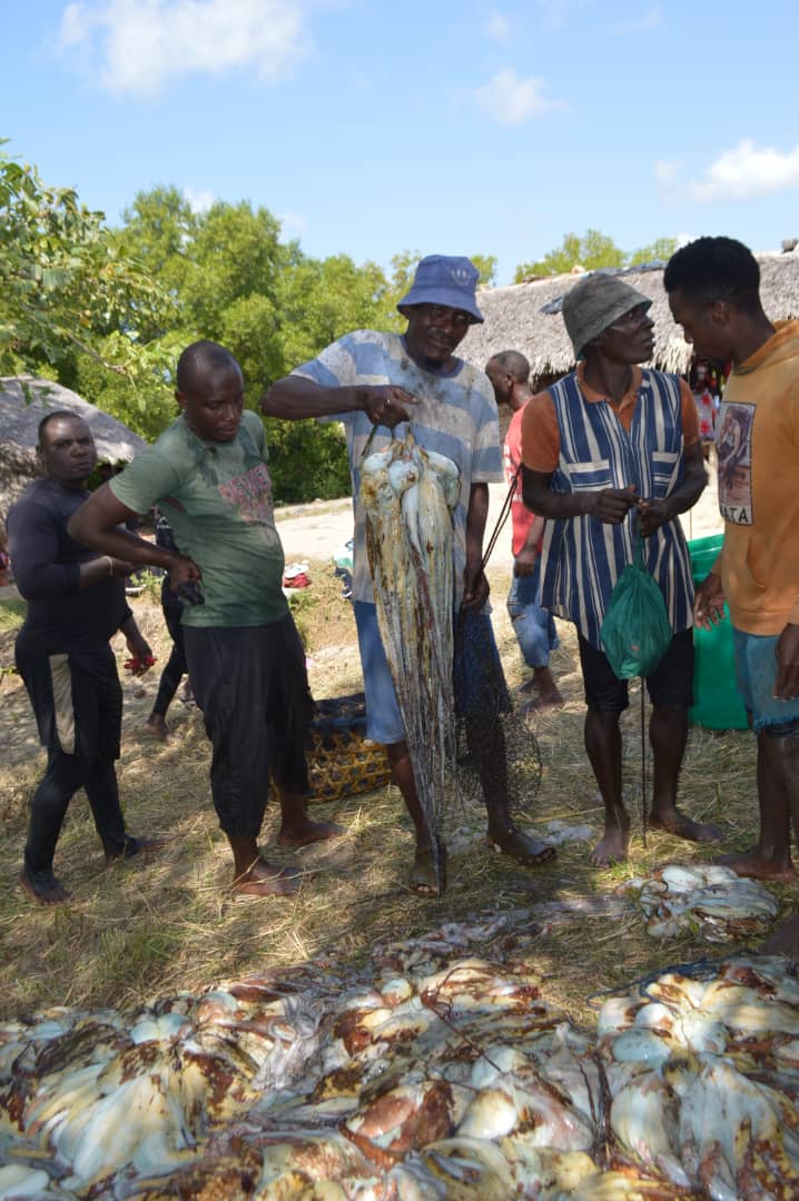 Successful Octopus Closure Opening at Singino BMU –26 June 2025